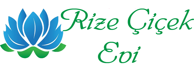 RİZE ÇİÇEK EVİ - Whatapp Hızlı Sipariş - 0533 666 2515