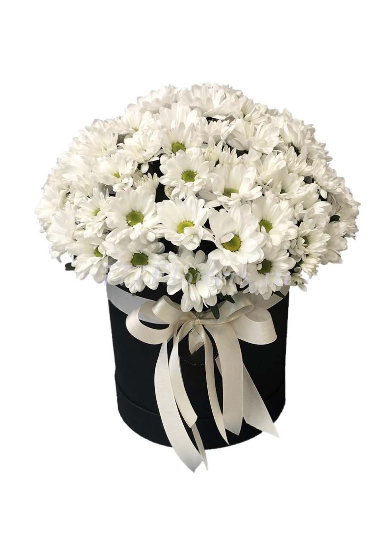 Siyah Kutuda Beyaz Papatyalar