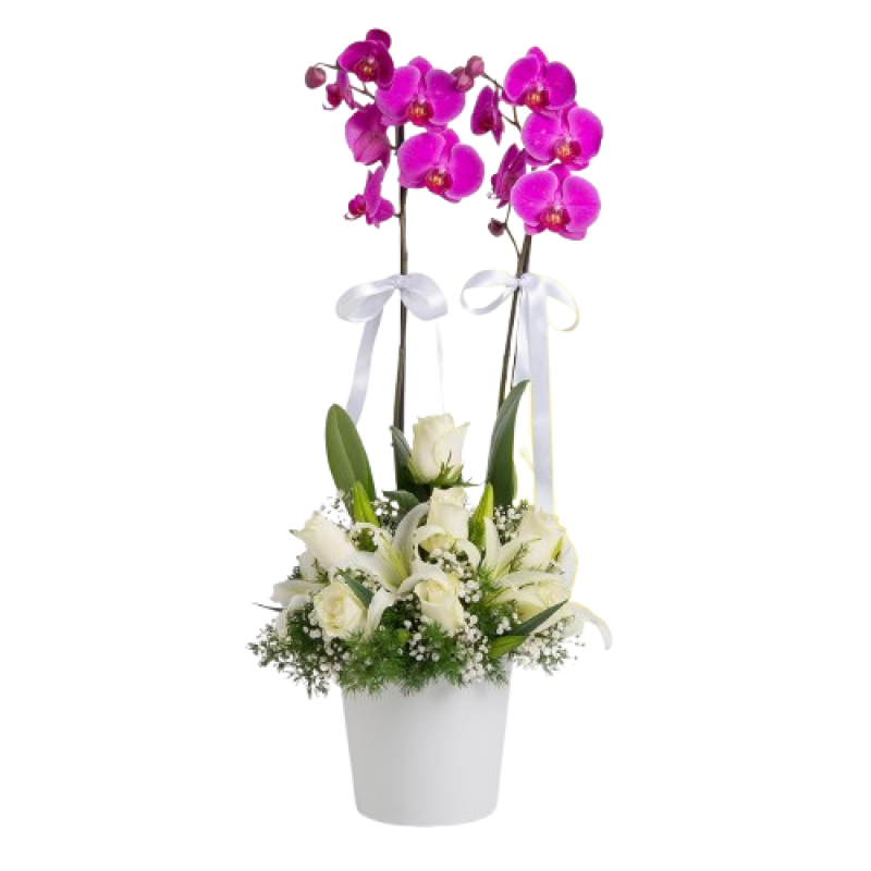 Beyaz Gül Ve Mor Orkide Aranjmanı