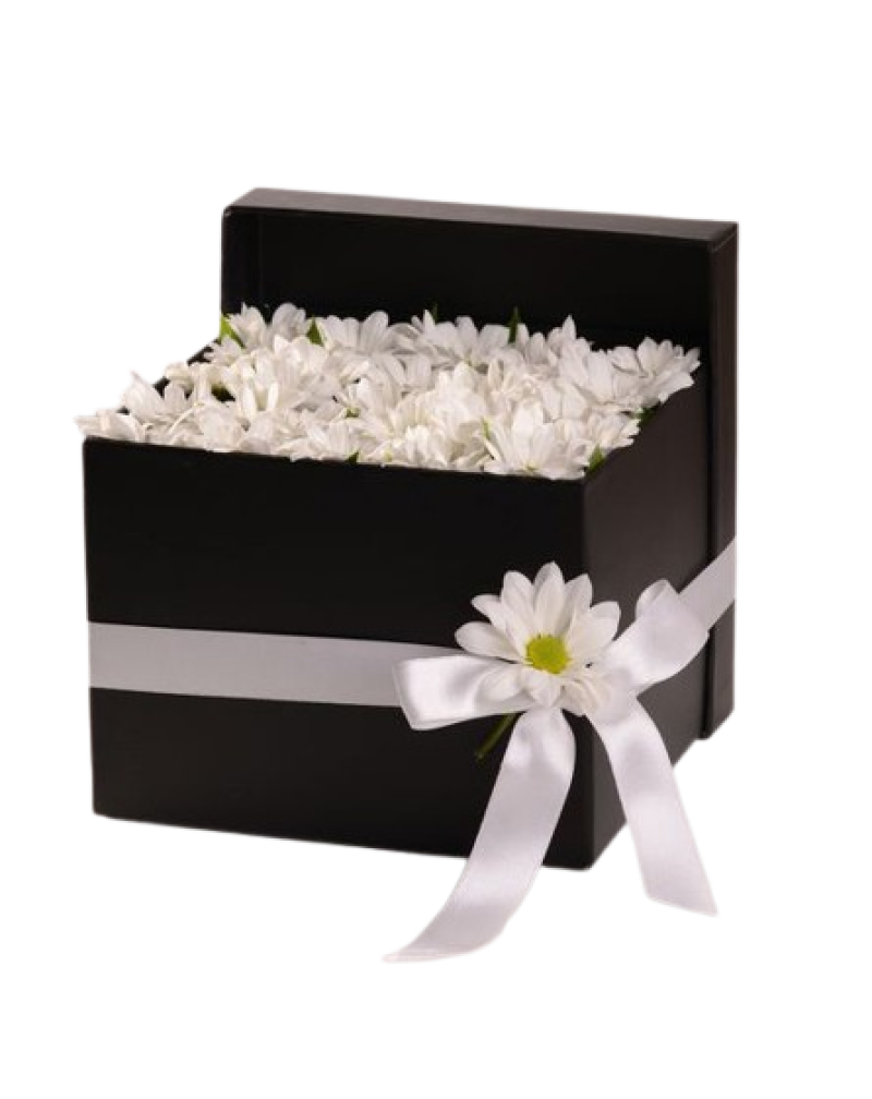 Siyah Kare Kutuda Beyaz Papatya Aranjmanı
