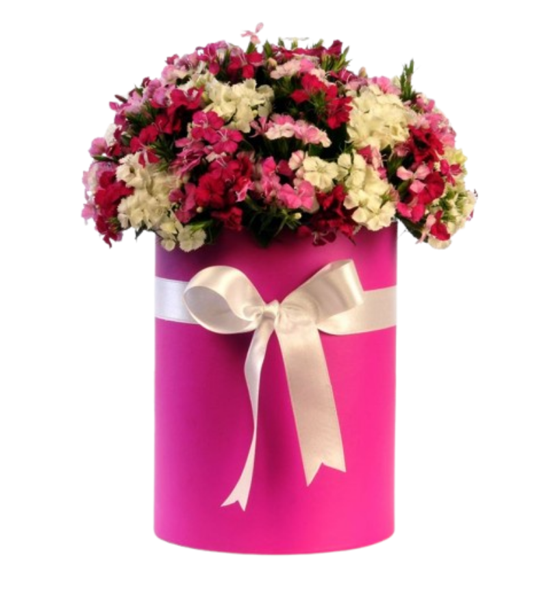 Silindir Kutuda Hüsnü Yusuf Aranjmanı