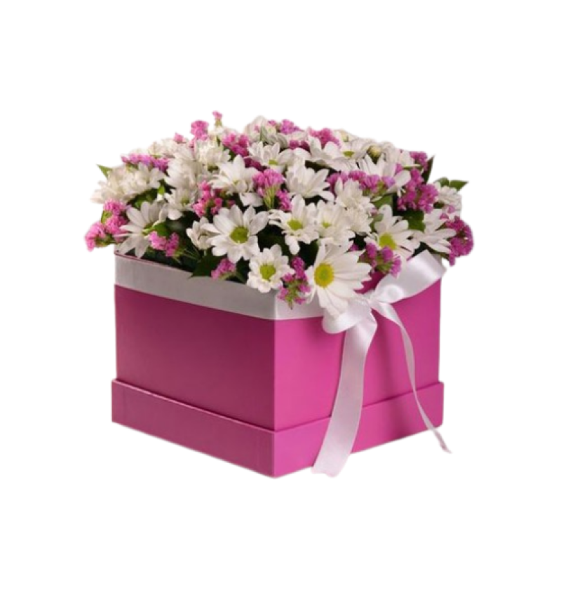 Fuşya Kare Kutuda Aranjman