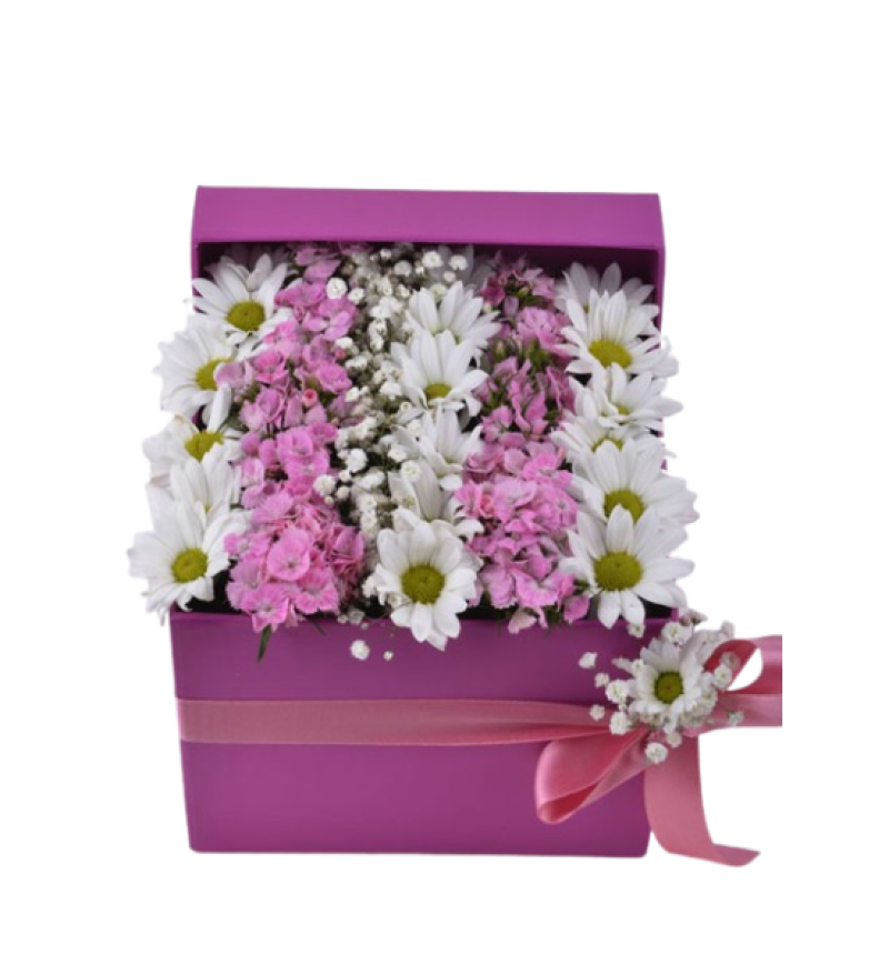 Kare Kutuda Papatya Ve Hüsnü Yusuf Aranjmanı