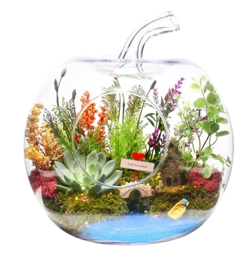 Cam Fanusta Teraryum