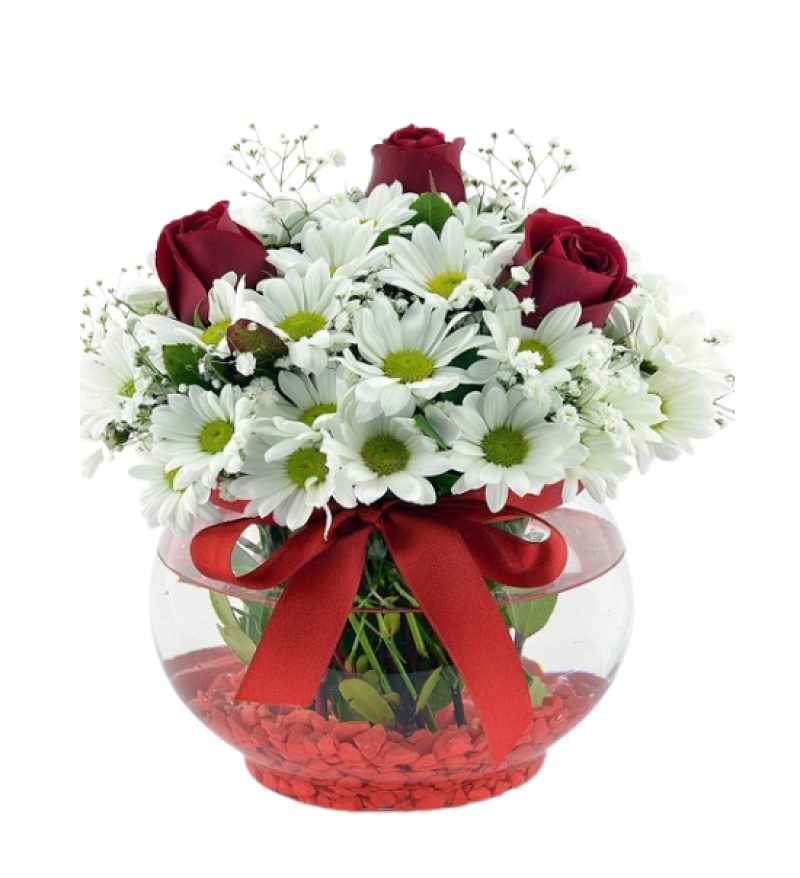 Fanusta Papatya Ve Gül Aranjmanı