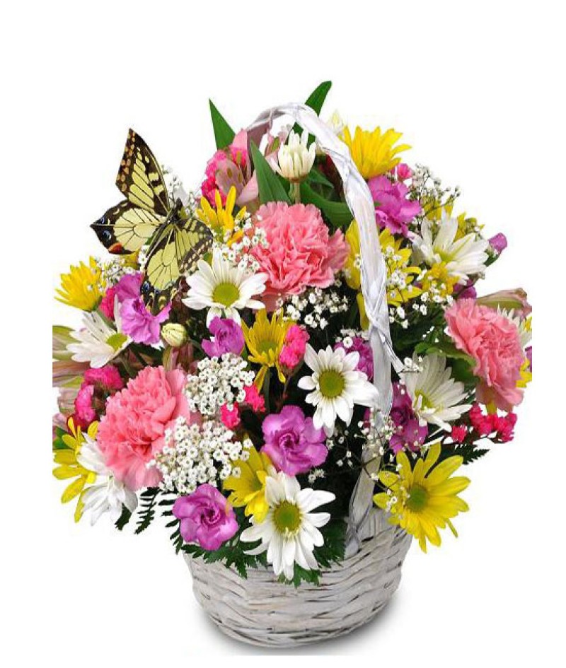 Mevsim Çiçeği Aranjman