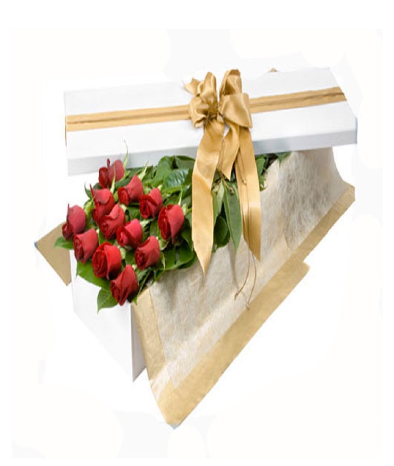 Kutuda Gül Arajmanı