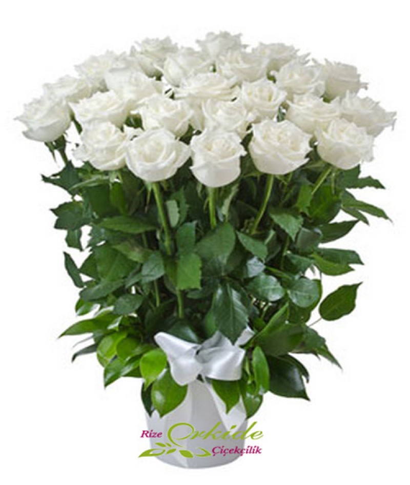 Beyaz Gül Aranjmanı