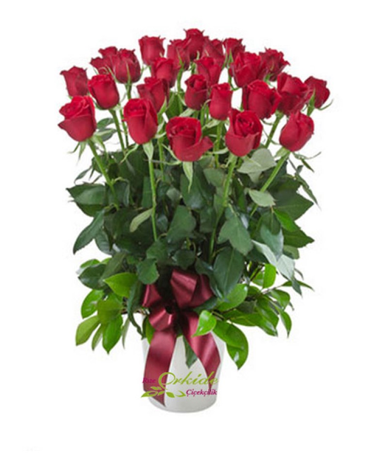 Vazoda Gül Aranjmanı