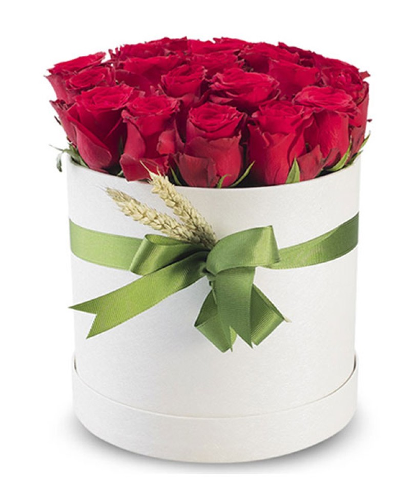 Silindir Kutuda Güller