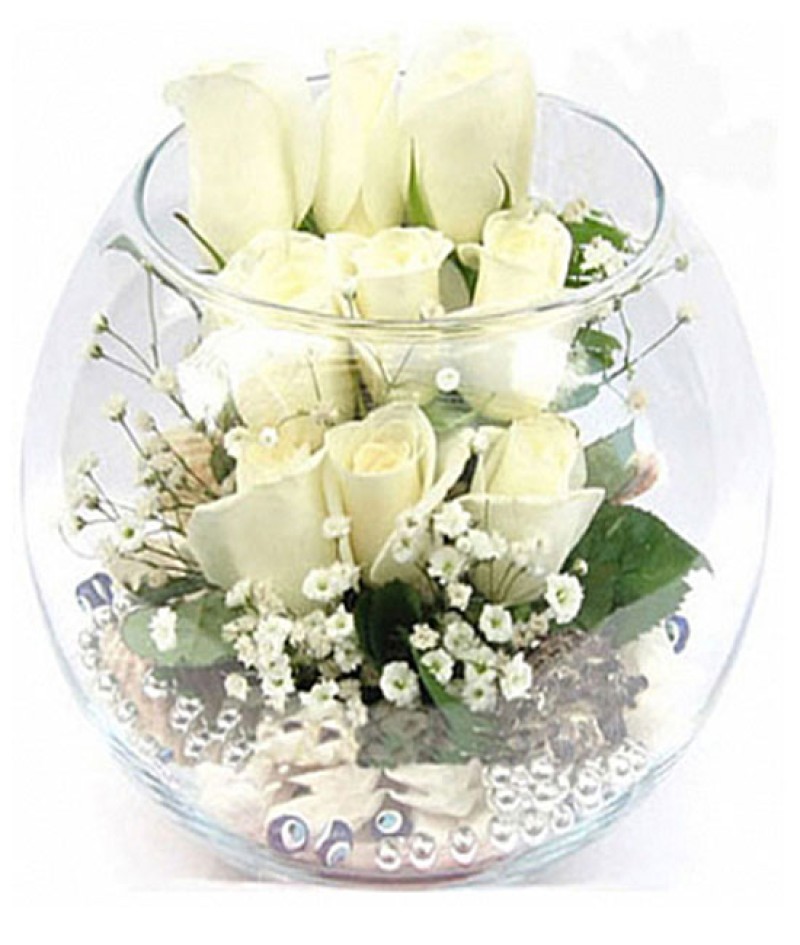 Fanusda Gül Aranjmanı