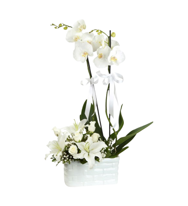 Lilyum Ve Orkide Aranjmanı