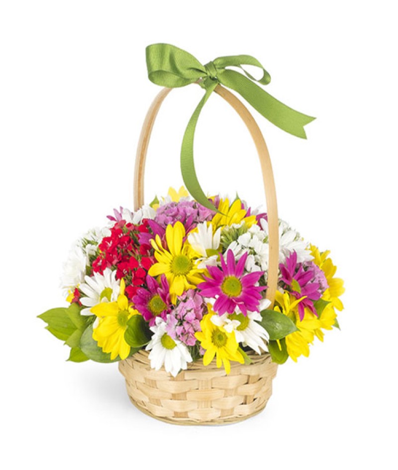 Mevsim Çiçeği Aranjman