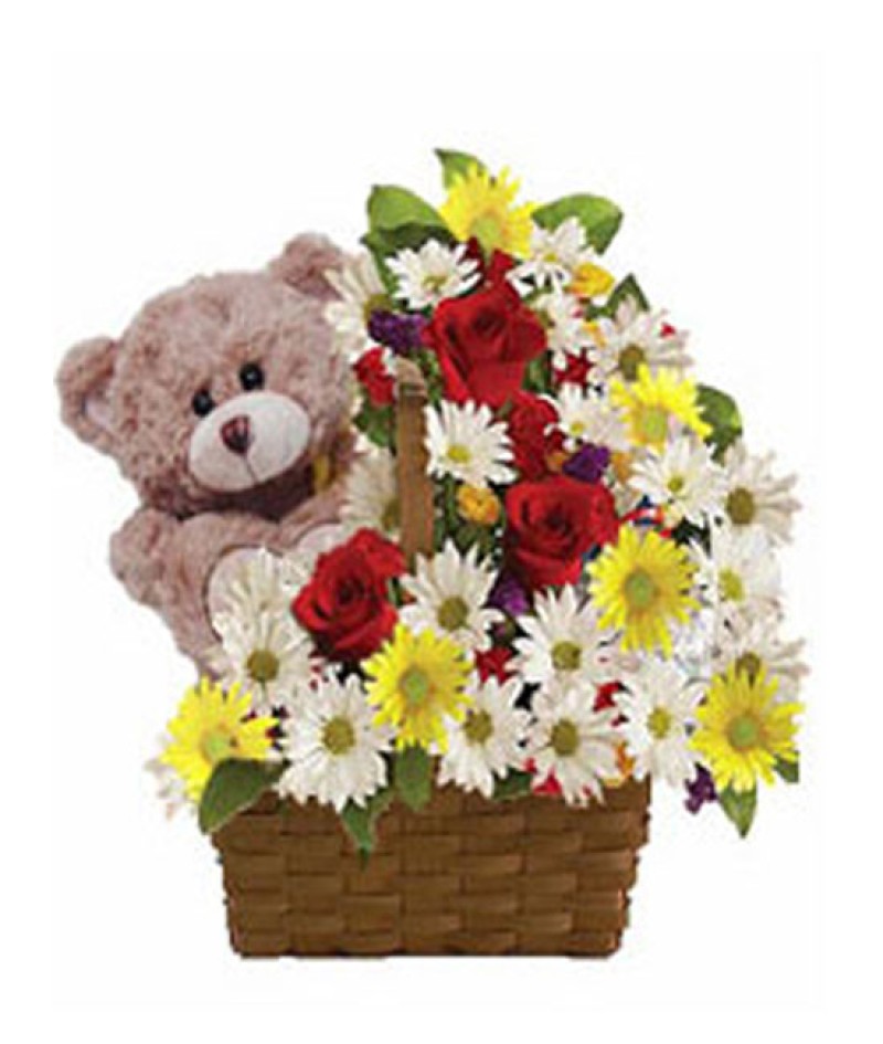 Ayıcıklı Aranjmanı