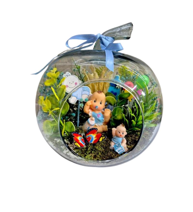 Erkek Bebek Teraryum