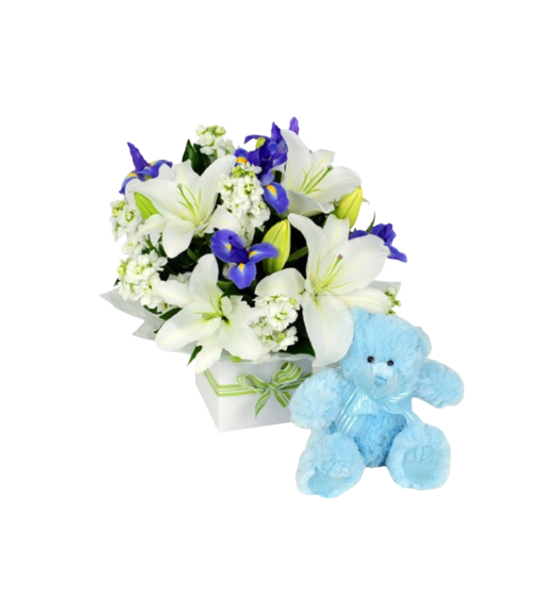 Ayıcıklı Aranjmanı Mavi