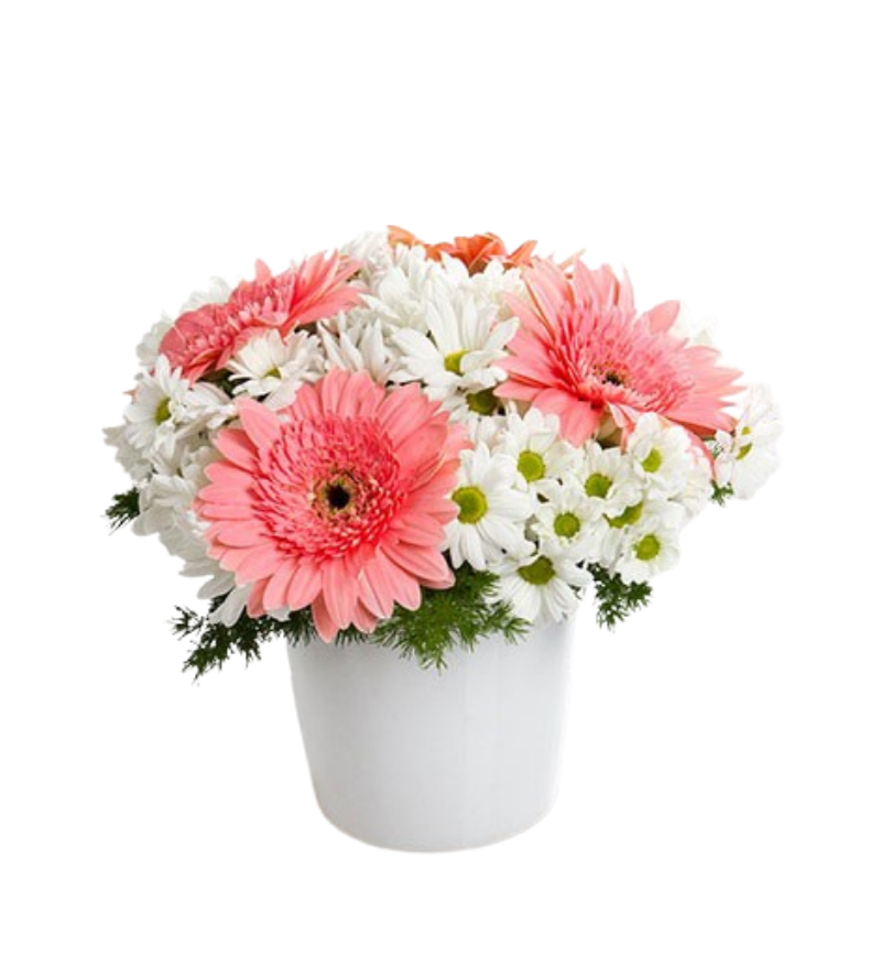 Seramik Vazoda Papatya Ve Gelbera Aranjmanı