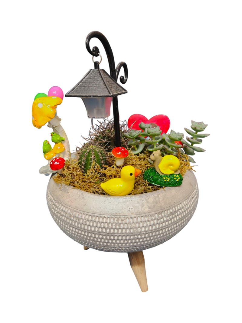 Kaktüs & Skulent Teraryum